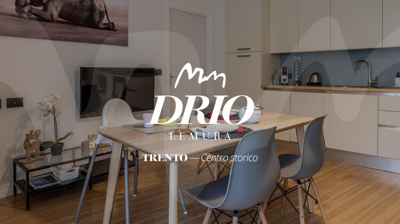 Appartamento Drio Le Mura 特伦托 外观 照片